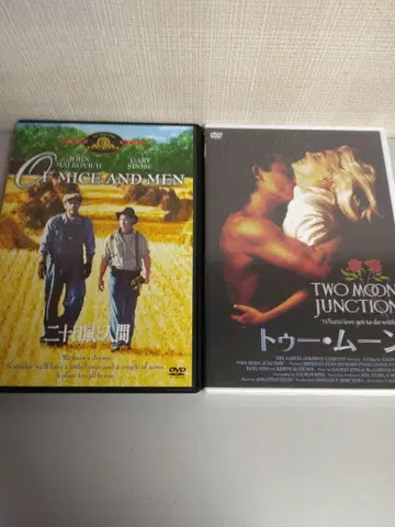 투 문 쥐와 인간 셸리 린 페 DVD 세트 미개봉 새상품 외