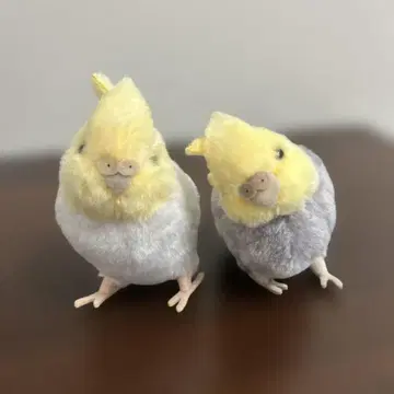 왕관앵무 봉제 인형 요시토쿠 2마리 세트