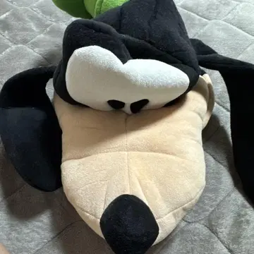 구피 머리띠
