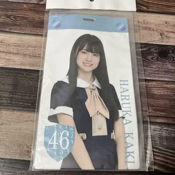 카키 하루카 티켓 홀더