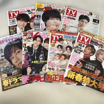 텔레비전, 가이드, TV 팬 등의 잡지 세트
