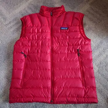 patagonia 레드 다운 베스트