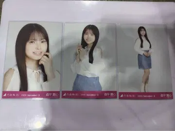 모리히라 레이신 노기자카46 어깨 트임 상의 랜덤 브로마이드 3종 컴프