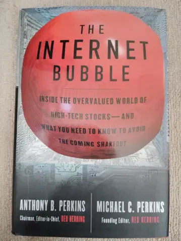 THE INTERNET BUBBLE