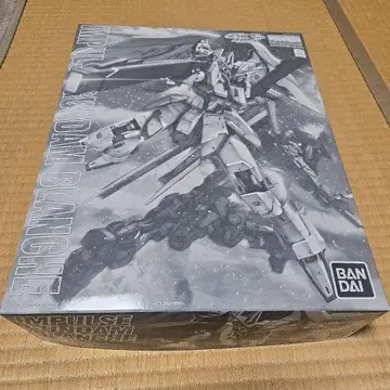 MG 1/100 임펄스 건담 블랑슈