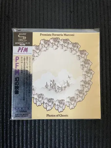 프로그레 이탈리아 PFM 환상의 영상 SHM-CD 일본 국내반 새상품급