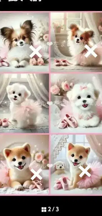 오더 접수
