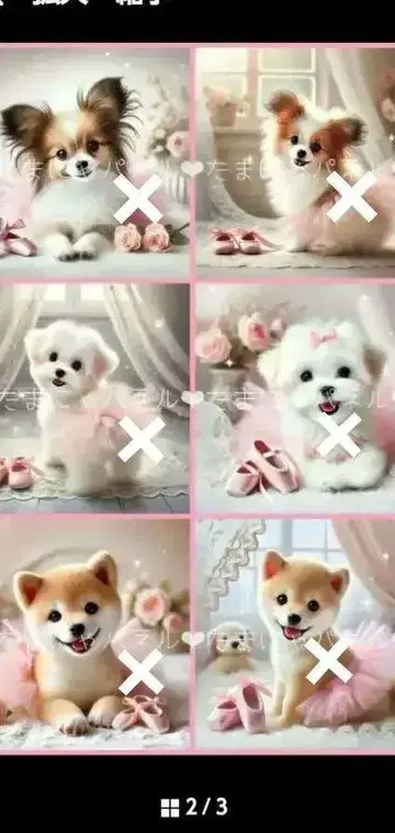오더 접수 밸리 레슨