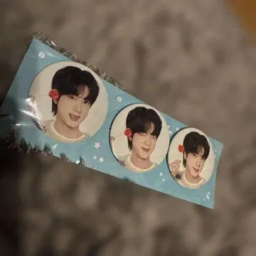 BTS 진 캔뱃지
