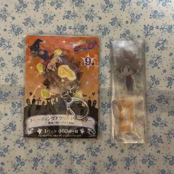 가정교사 히트맨 리본 츠나 세트