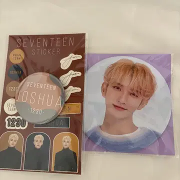 SEVENTEEN 조슈아 캔뱃지 세트