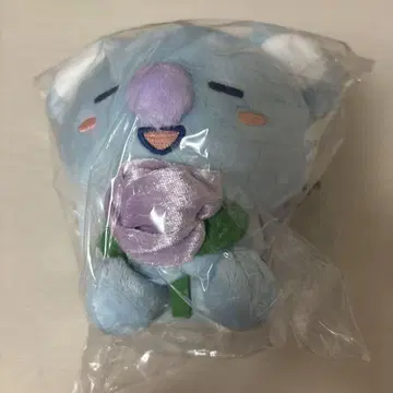 BT21 봉제 인형 타월 키링 세트