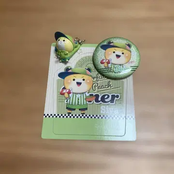 컬러풀 피치 시바 씨 세트 장미도 가능