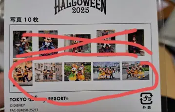 디즈니 할로윈 2025 사진 세트 5종
