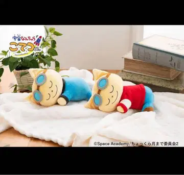 우주 뭐시기 코테츠군 쌔근쌔근 프렌드 코테츠군 봉제 인형 2세트