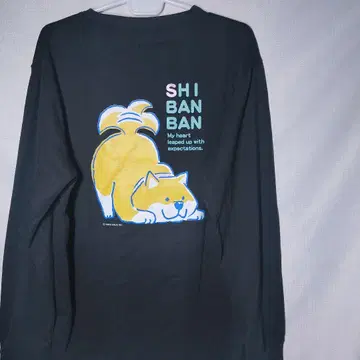 새상품 롱T XL 아카시반반 시반반 흥미진진 강아지 코믹스 긴팔T셔츠