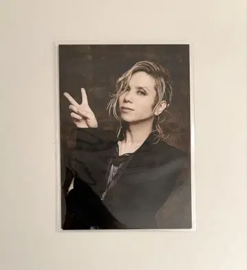 Acid Black Cherry 트레이딩 카드 INCUBUS 4