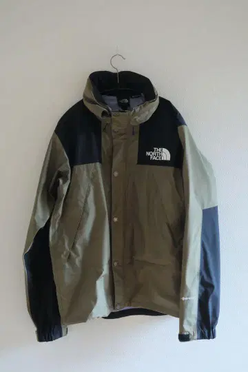 THE NORTH FACE 마운틴 후드티 뉴토프 레인텍스