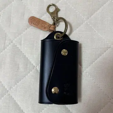 일비종떼 키케이스