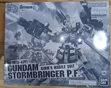 MG GUNDAM STORMBRINGER P.F. 1/100