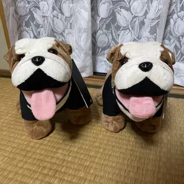 MINI 불독 봉제 인형 약 30cm 스파이크 군