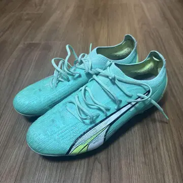 Puma 울트라 얼티밋 HGAG