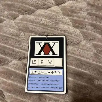 헌터 라이선스 히소카 HUNTER x HUNTER 팝업