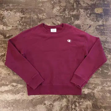 Champion 챔피온 리버스 위브 크루넥 맨투맨 4579