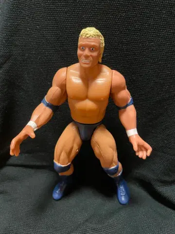 [ WWE ] 사이코 시드 프로레슬링 피규어