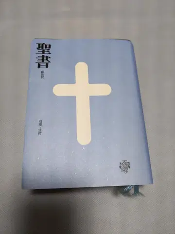 성경 신개역 파랑