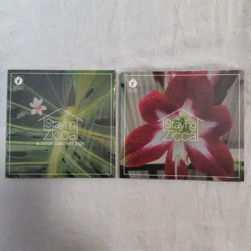 CHAR//Staying Zicca 콘서트 /DVD/ CD