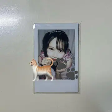 마츠모토 카렌 란폴라로이드 프릴 의상