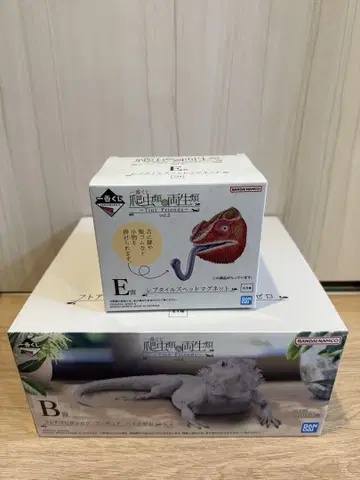 제일복권 파충류 & 양서류 vol.2 B상 비어디드래곤 피규어