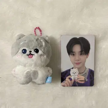 funny treasure 지훈 봉제 인형 트레이딩 카드