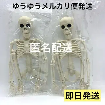 해골 피규어