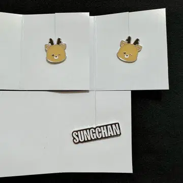 RIIZE 성찬 우라밤 커스텀 참