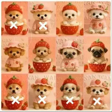 주문 접수 손뜨개질 강아지