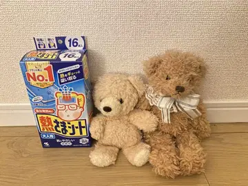 곰 봉제 인형