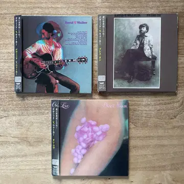 David T. Walker 종이 자켓 CD 3매 세트 레어