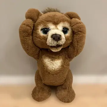 카비 곰 봉제 인형