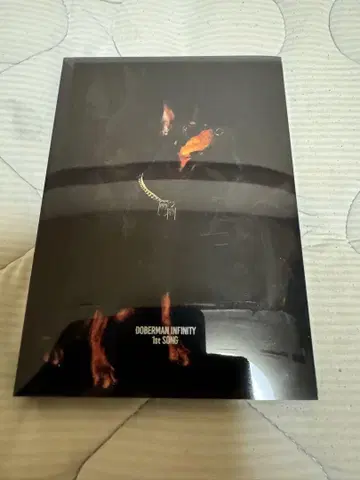DOBERMAN INFINITY 1st SONG DVD 초회반 새상품급