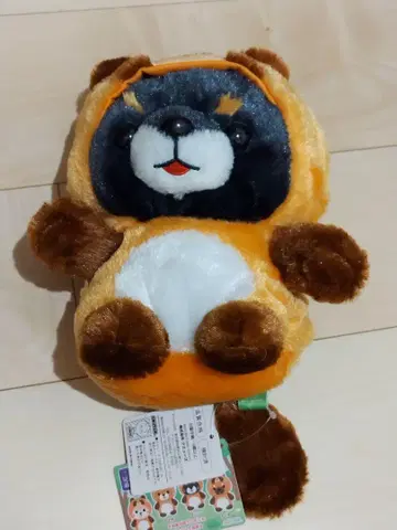 포테구루미 너구리 AMU FUN