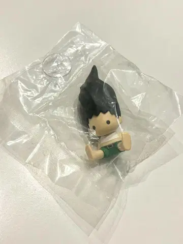 HUNTER x HUNTER 페타도르 곤 씨