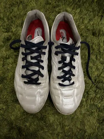 미즈노 쿠션 레보 프로