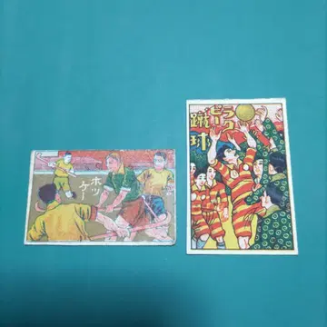 스포츠 각면기 2종 하키 럭비