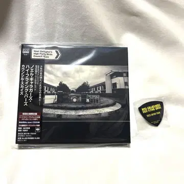 Noel Gallagher Council Skies 초회 사양 피크 첨부