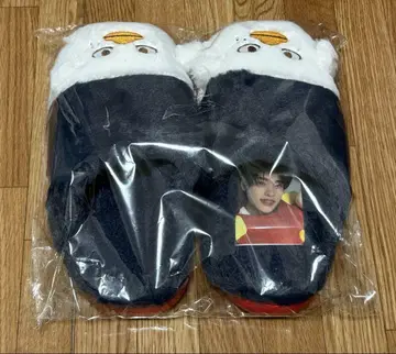 RIIZE RIIZEPARK 팝업 룸슈즈 소희