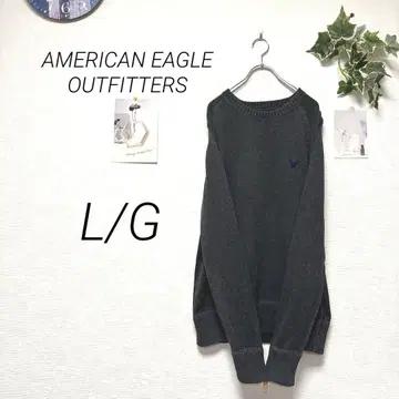 8793 AMERICAN EAGLE OUTFITTERS 니트 자수