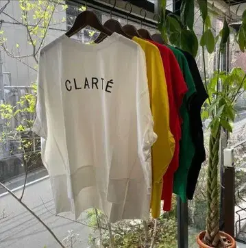 택 포함 새상품 이시카와 라보, CLARTE 로고 T셔츠