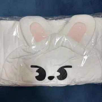 straykids skzoo 담요 리빗